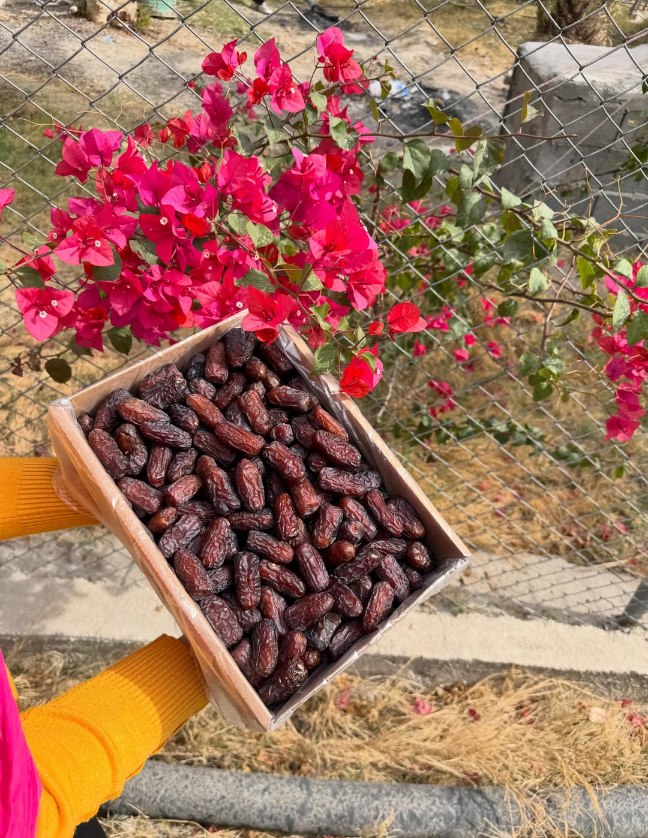 تصویر 1 از عرضه مستقیم خرما پیارم + قیمت عمده