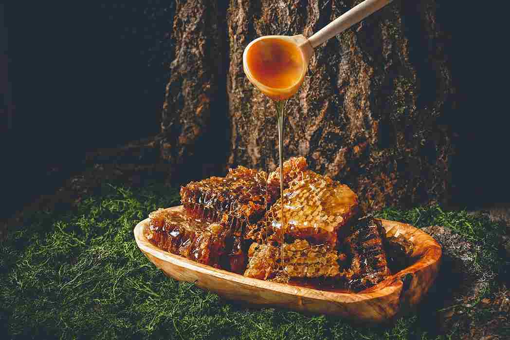 تصویر 4 از عسل وحشی کوهی ارگانیک  برداشت شده از مناطق بکر