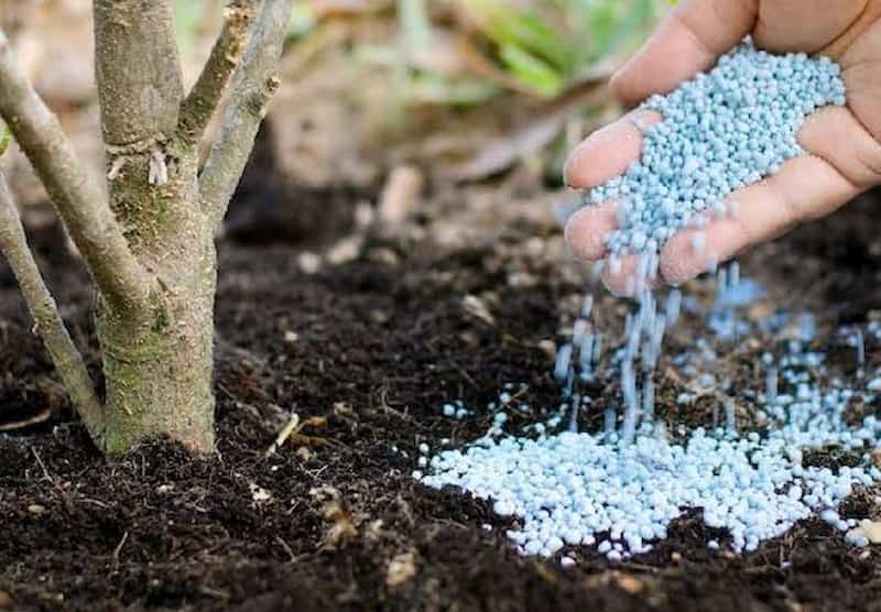 کود کشاورزی زنجان با کیفیت بالا و جذب سریع