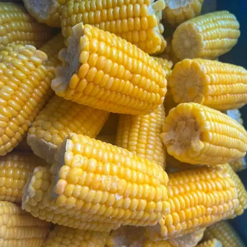 تصویر 4 از کنسرو ذرت تایلندی خوش طعم مناسب سالاد و پخت