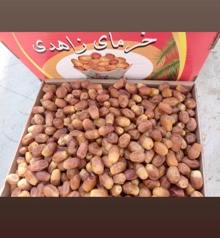 خرما زاهدی عمده؛ قیمت، کیفیت و شرایط خرید