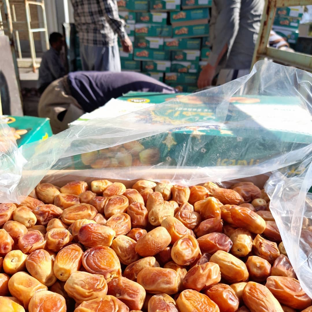 تصویر 4 از خرید مستقیم خرما زاهدی از نخلداران + قیمت عمده