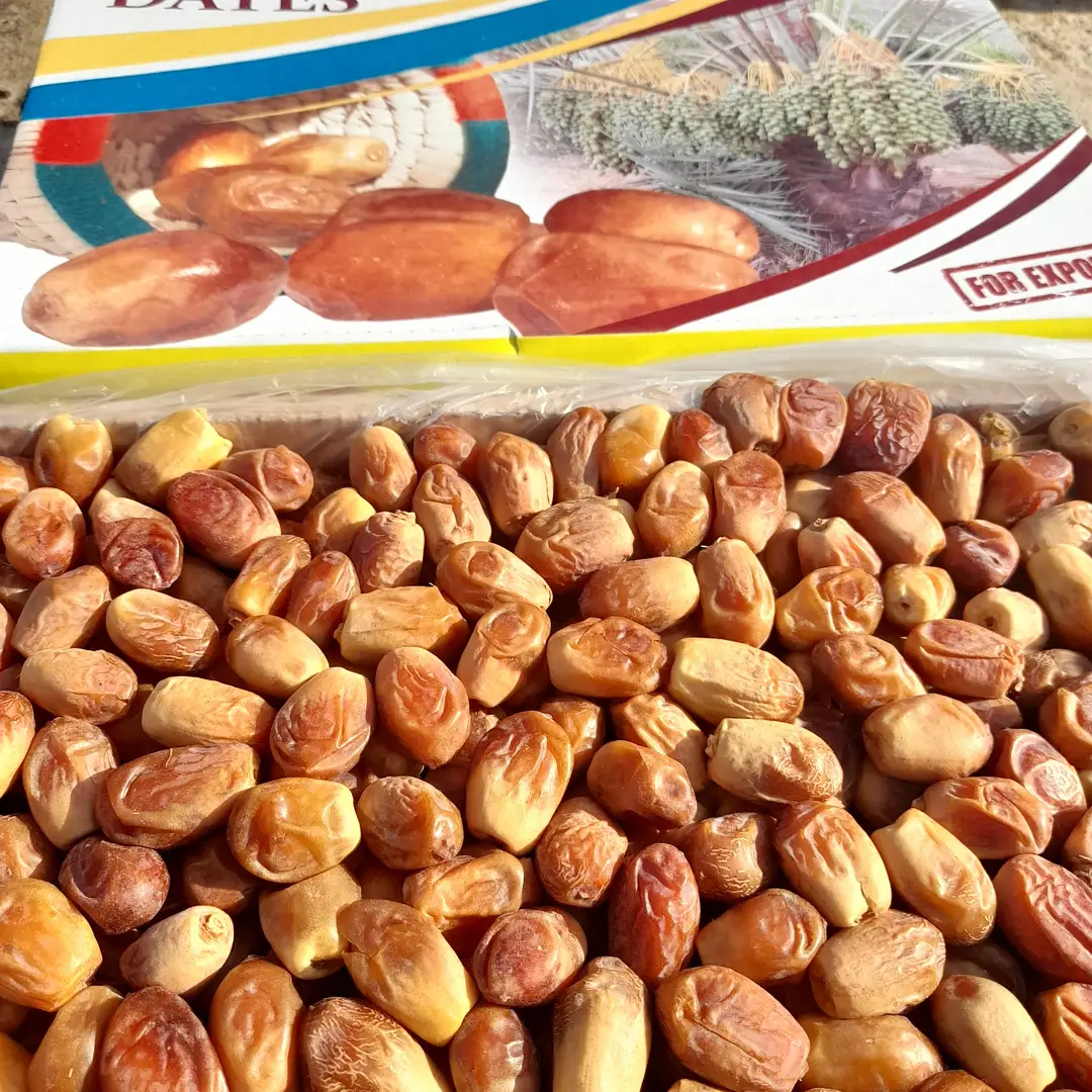 تصویر 2 از مرکز پخش خرما زاهدی درجه یک در ایران + قیمت عمده