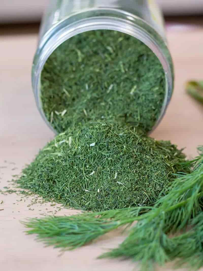 شوید خشک تازه تهیه شده از برگ های مرغوب