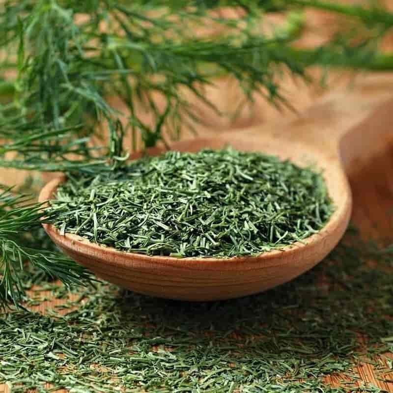 تصویر 2 از شوید خشک درجه یک با رنگ سبز و کیفیت ممتاز
