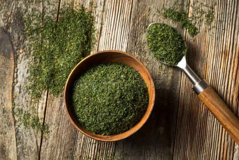 شوید خشک درجه یک با رنگ سبز و کیفیت ممتاز