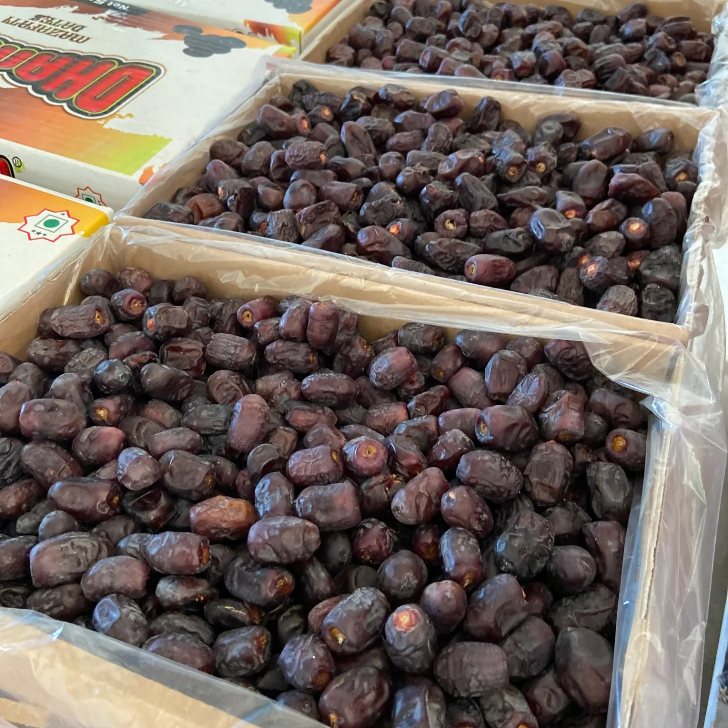 تصویر 1 از خرید خرما مضافتی عمده با قیمت مناسب