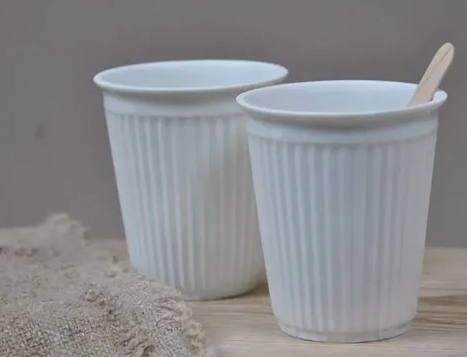 تصویر 2 از لیوان یکبار مصرف گیاهی با طراحی مدرن و کیفیت ماندگار
