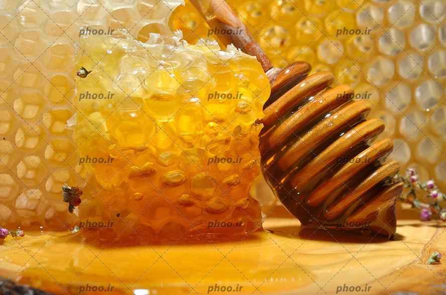 تصویر 1 از قیمت خریدعسل کنارهانیوا + فروش ویژه