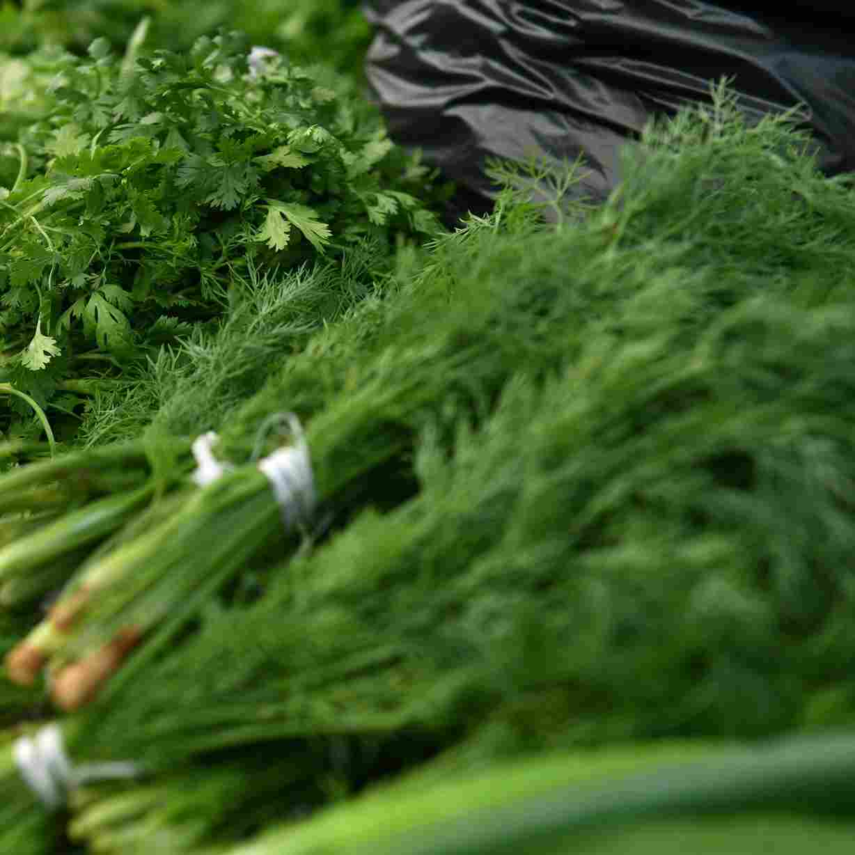 تصویر 1 از سبزی آش گل پونه آماده مصرف با عطر طبیعی و دلپذیر