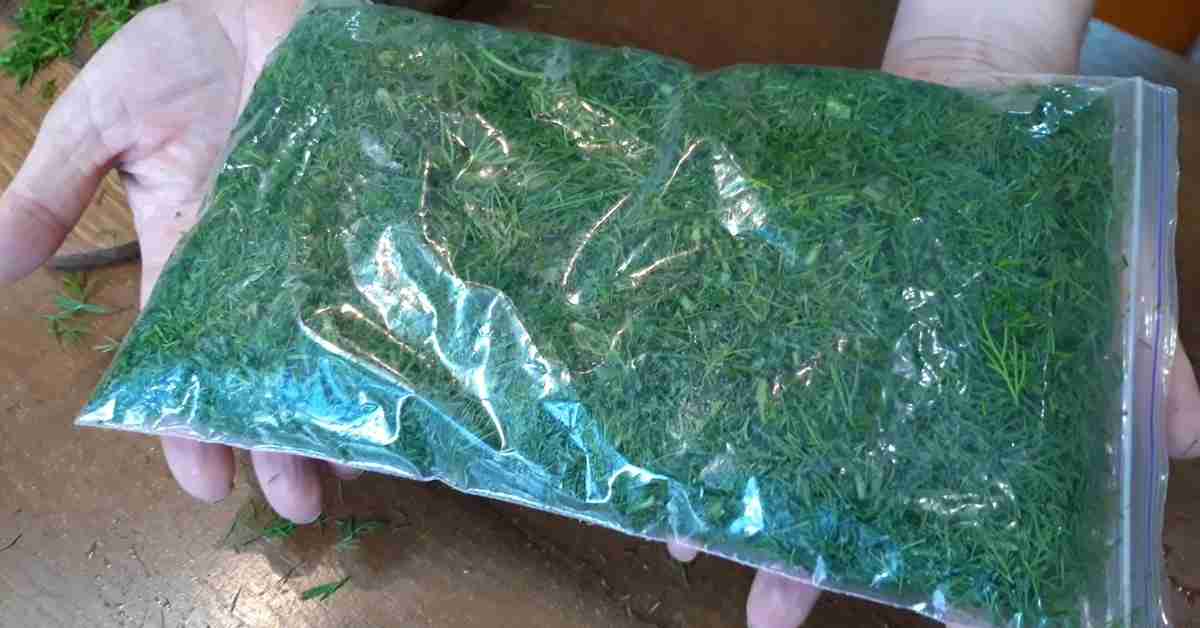 سبزی آش گوجه تبریز آماده مصرف با عطر طبیعی و دلپذیر