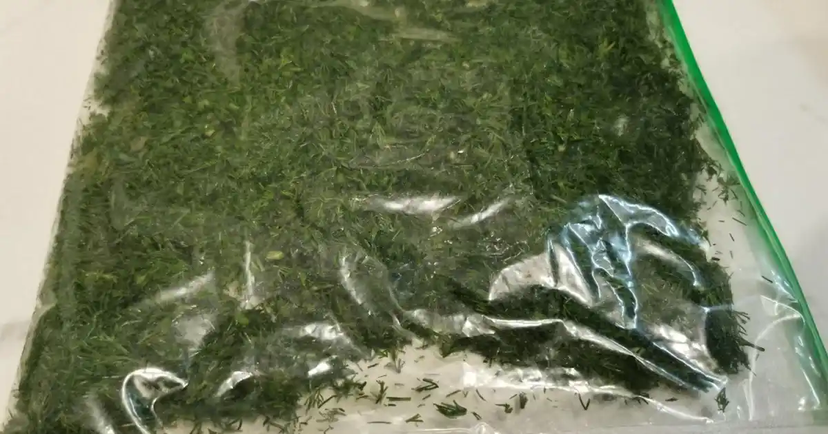 تصویر 3 از سبزی آش گندم تازه و معطر مناسب آش سنتی ایرانی