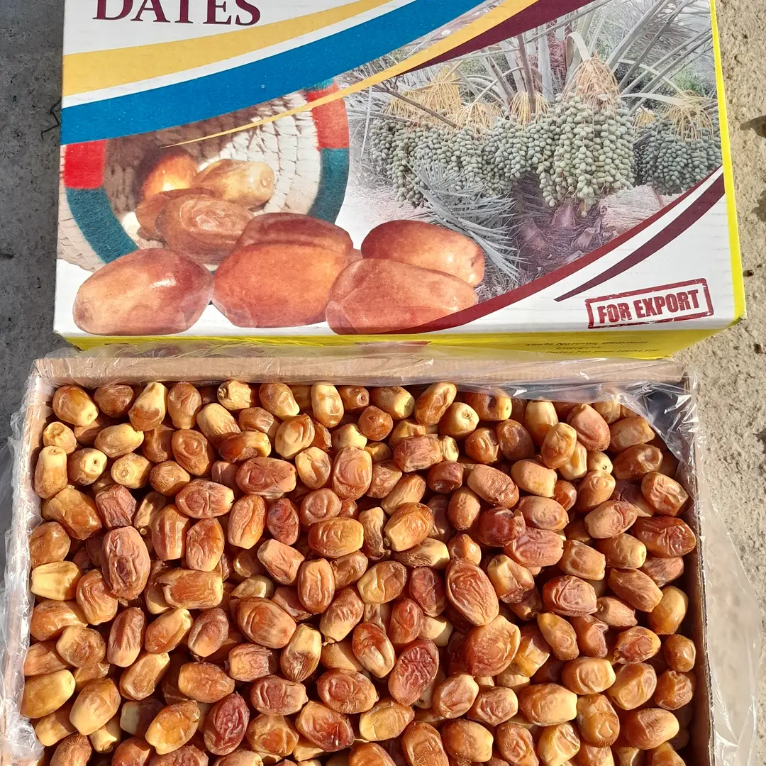 تصویر 1 از عرضه عمده خرما زاهدی + قیمت عمده