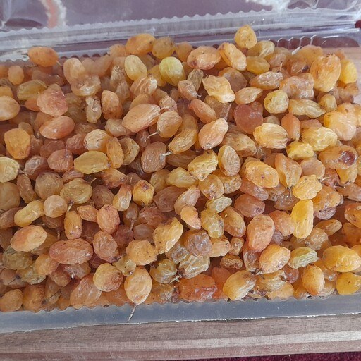 تصویر 4 از کشمش سبز افتابی با رنگ مطلوب و کیفیت بالا