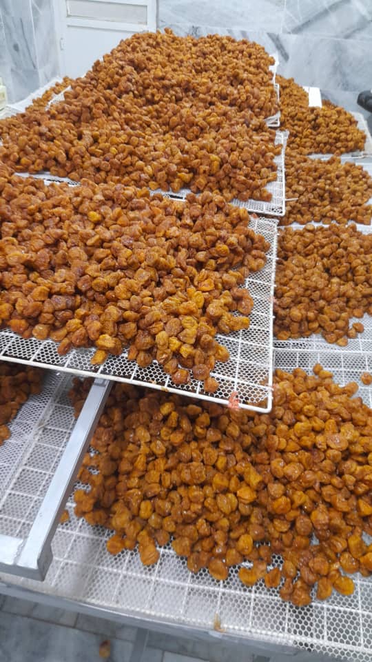 آلو خشک خورشتی ارگانیک