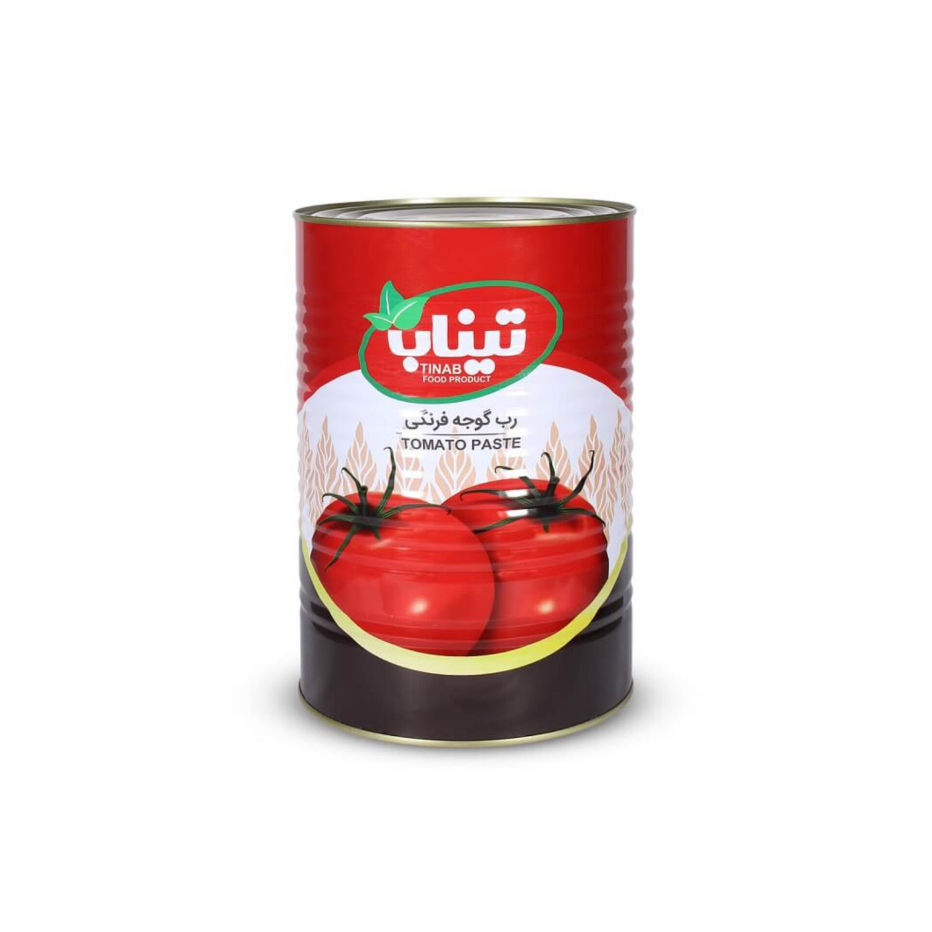 فروش عمده رب گوجه فرنگی تیناب مستقیم از کارخانه ارزان