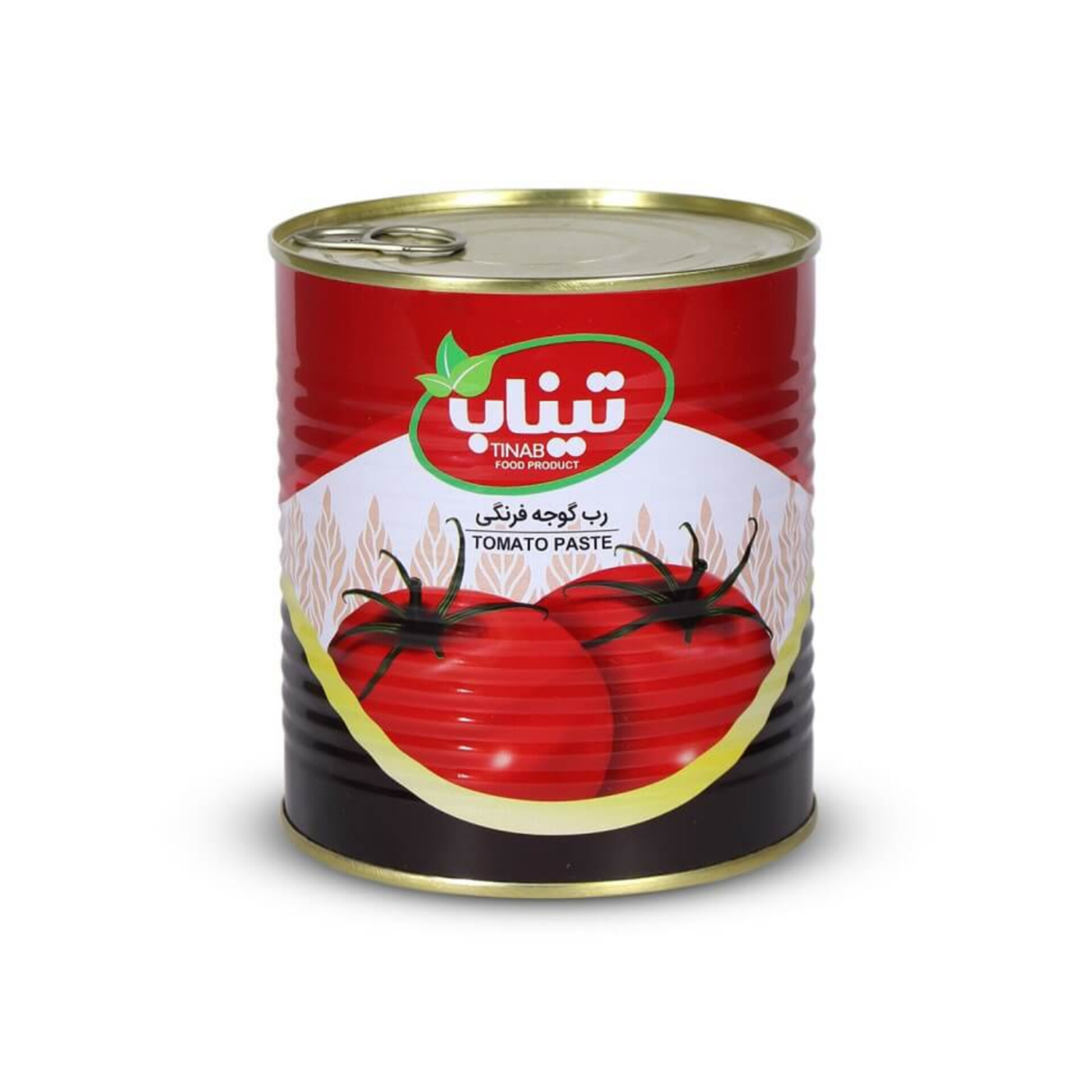 قيمت عمده رب گوجه‌فرنگی تیناب ایرانی ارگانیک