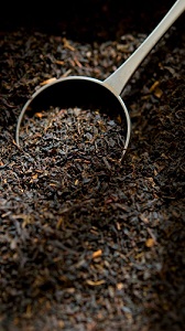 خرید چای سرگل بهاره لاهیجان + خرید عمده