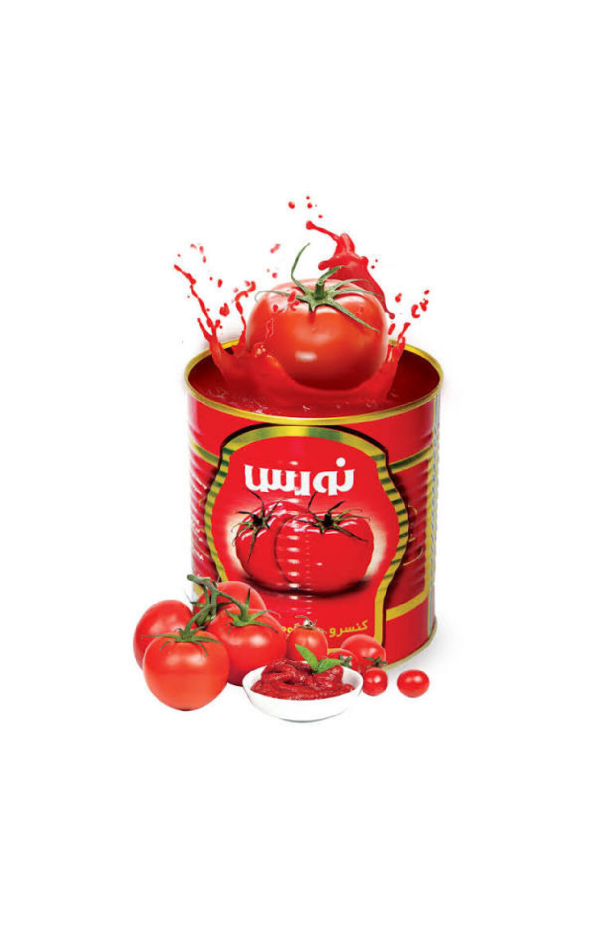 کیفیت بالا قیمت رقابتی و تحویل فوری رب گوجه فرنگی نورس
