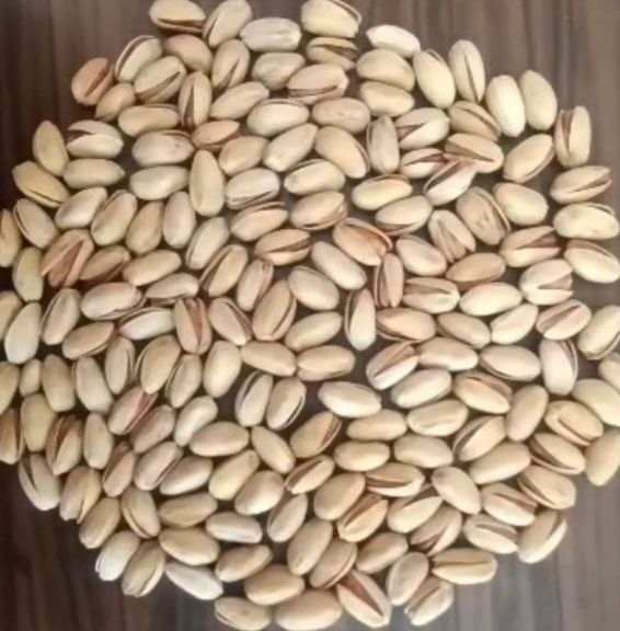 قیمت پسته کله قوچی رفسنجان با کیفیت