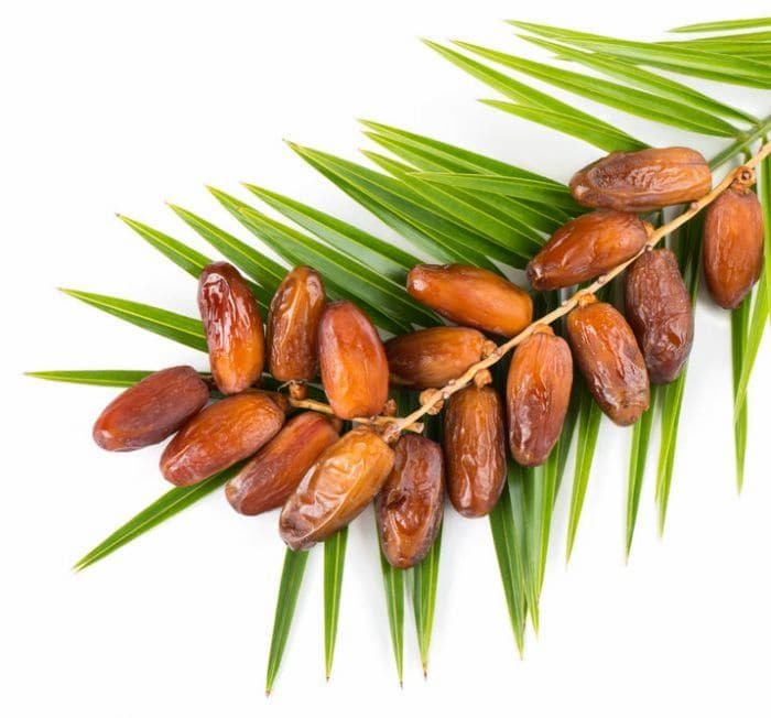 تصویر 2 از خرما مضافتی زرد با بافتی نرم و کیفیتی ماندگار