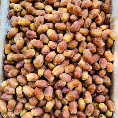 خرما زاهدی مشکین با ظاهر یکدست و شیرینی دلپذیر