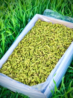 تصویر 4 از کشمش سبز فله با کیفیت مطلوب و طعم طبیعی