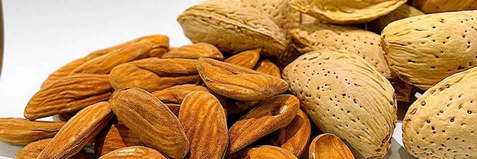 تصویر 4 از مغز بادام مامایی با طعم تازه و طبیعی و ممتاز