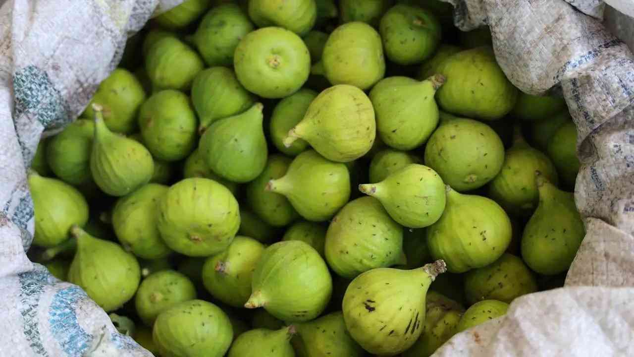 تصویر 1 از انجیر تازه برای دیابتی ها سرشار از مواد مغذی مفید