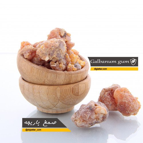 نگهداری صحیح صمغ و اسانس باریجه