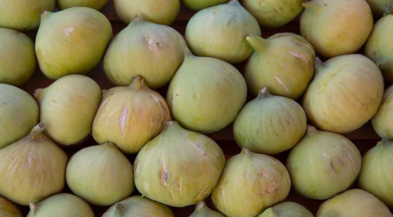 فروش انجیر درجه یک