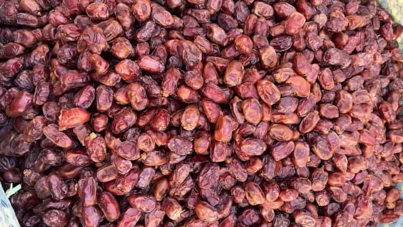 تصویر 3 از خرما کبکاب خشک مناسب نگهداری و مصرف طولانی مدت