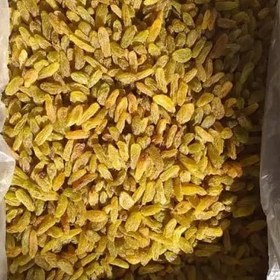 تصویر 4 از کشمش سبز پیکامی تهیه شده از انگورهای مرغوب