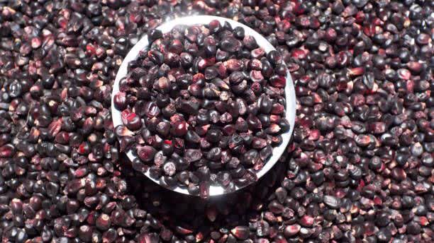 فروش زرشک سیاه