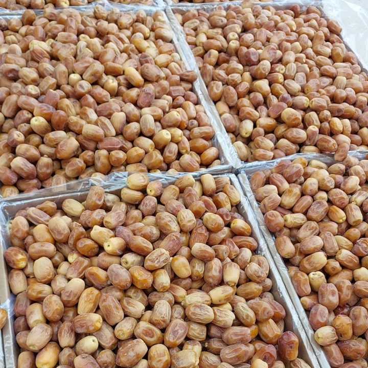 تصویر 1 از خرید خرما زاهدی در حجم بالا + قیمت عمده