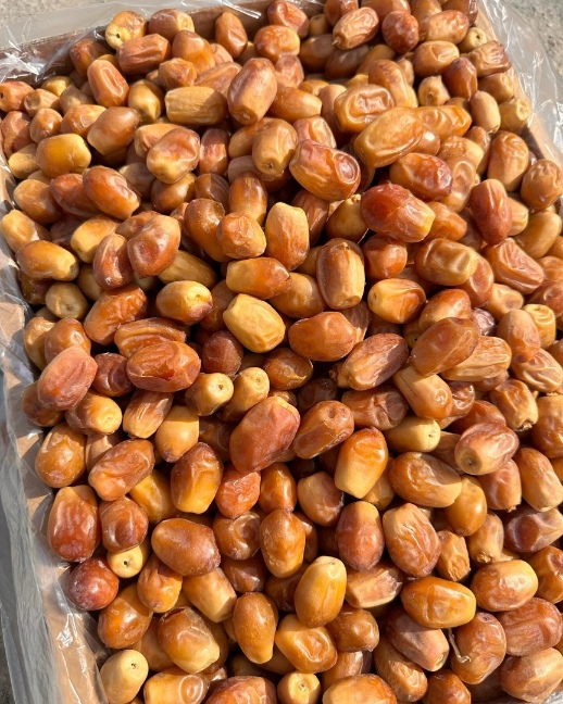 صادرات خرما زاهدی به کشورهای مختلف