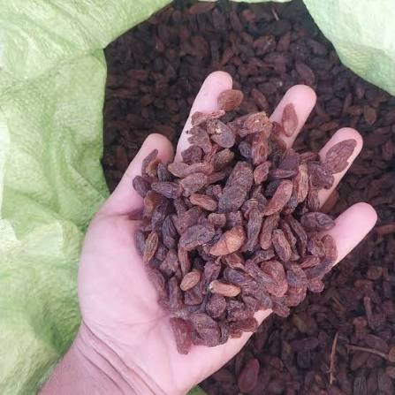 تصویر 1 از کشمش آفتابی کاشمر تهیه شده از انگور مرغوب