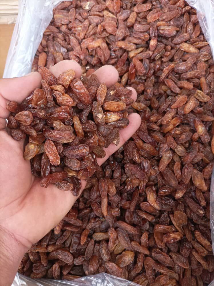 تصویر 3 از کشمش آفتابی کاشمر تهیه شده از انگور مرغوب