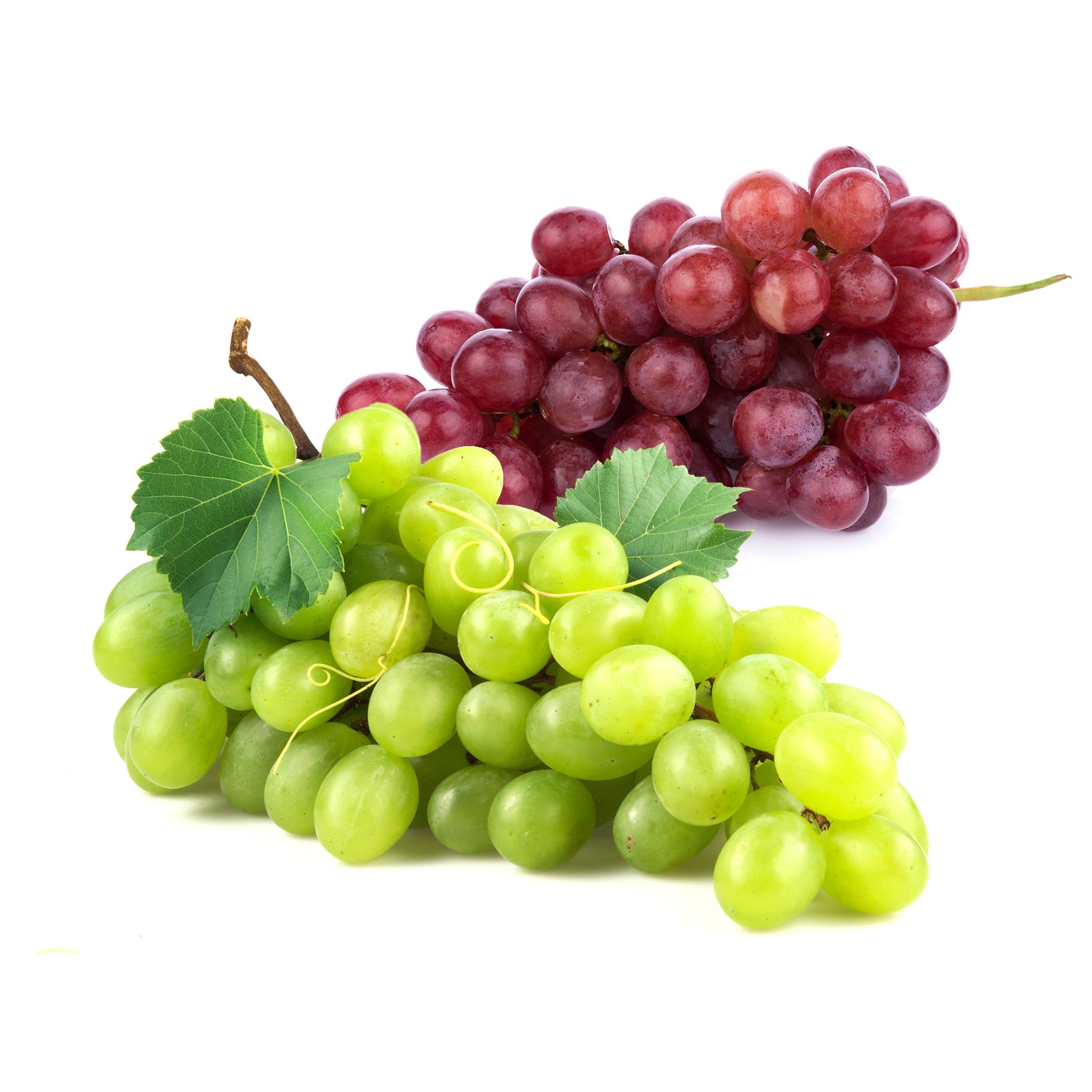 فروش انگور سیاه