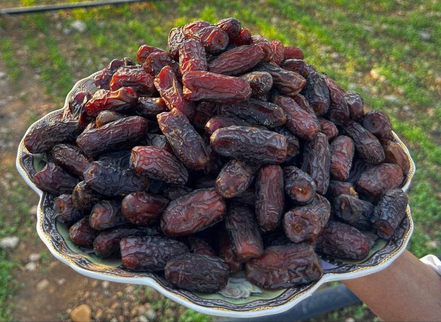 تصویر 3 از فروش عمده خرمای پیارم باکیفیت ویژه + قیمت عمده