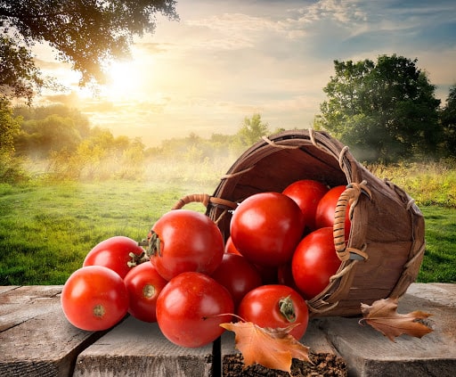 تصویر 2 از قيمت عمده رب گوجه فرنگی گراناز با کیفیت ممتاز و بی نظیر