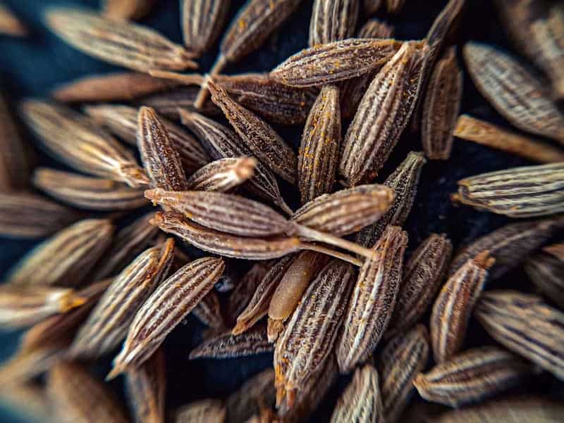تصویر 1 از زیره سیاه عطارک مناسب مصرف خانگی و درمانی با کیفیت درجه یک
