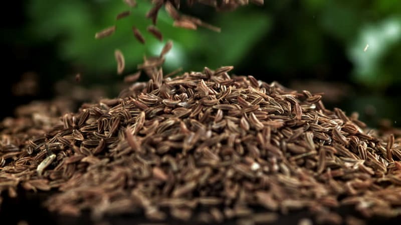 تصویر 3 از زیره سیاه افغانستان با عطر اصیل و کیفیت بی رقیب