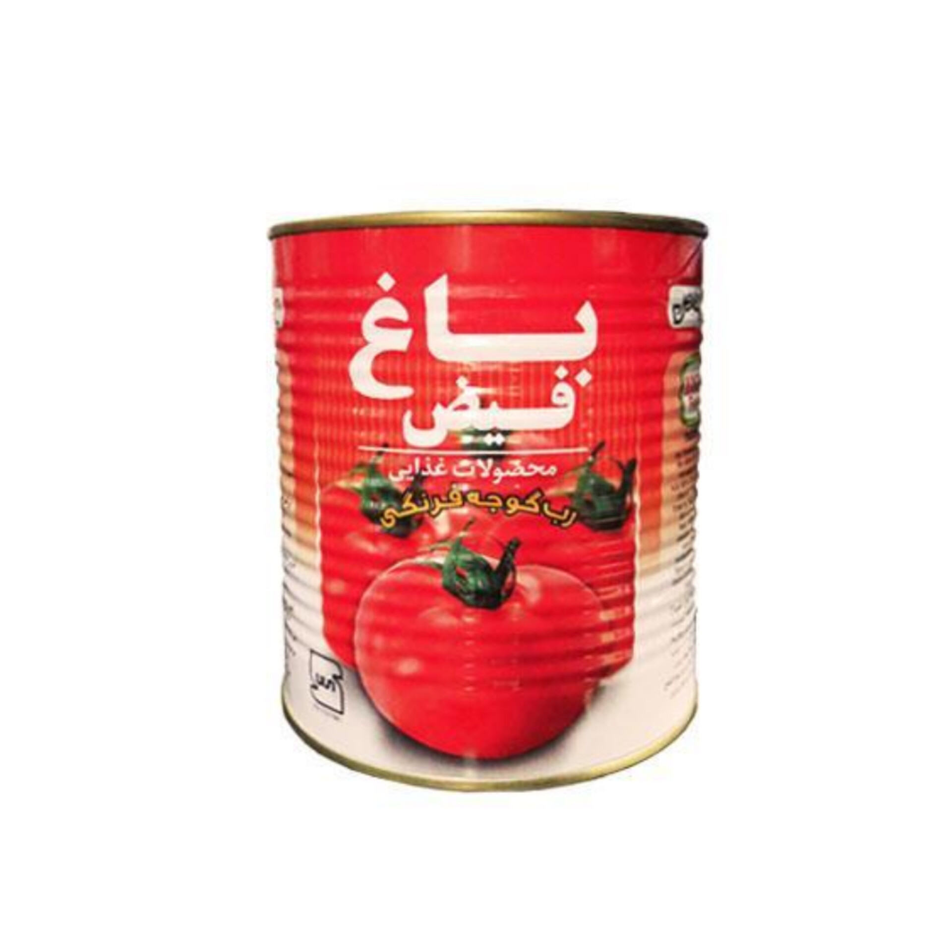 خرید مستقیم رب گوجه فرنگی باغ فیض باکیفیت از تولیدکننده