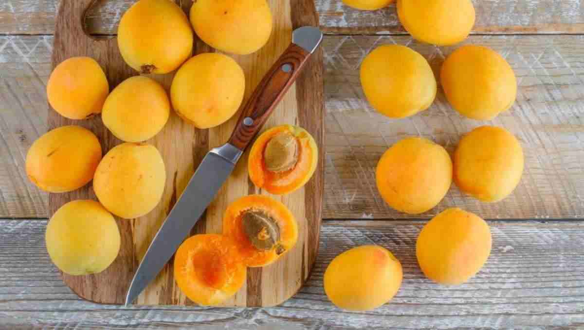 تصویر 4 از قیسی برای معده از میوه خشک مرغوب محصولی طبیعی
