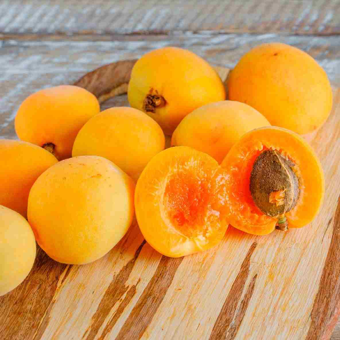 قیمت قیسی هسته دار