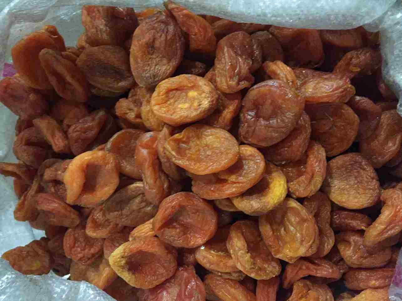 تصویر 2 از قیسی زردآلو خشک با فرآوری اصولی و بهداشتی