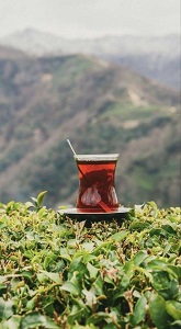 استراتژی های موفق در فروش عمده چای ایرانی لاهیجان