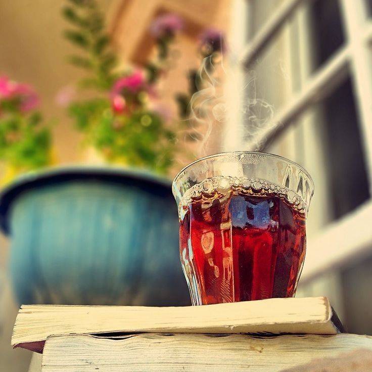 اصول انتخاب تامین کننده معتبر چای لاهیجان