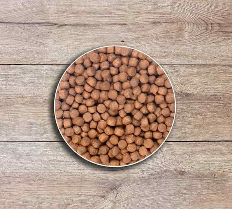 تصویر 4 از خوراک ماهی قزل آلا غنی شده با ویتامین‌ها برای تقویت سیستم ایمنی آبزیان